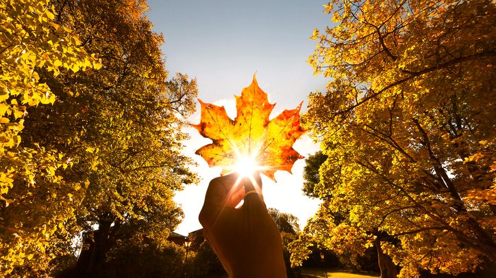 Summer-like temperatures on tap for nation’s capital this weekend