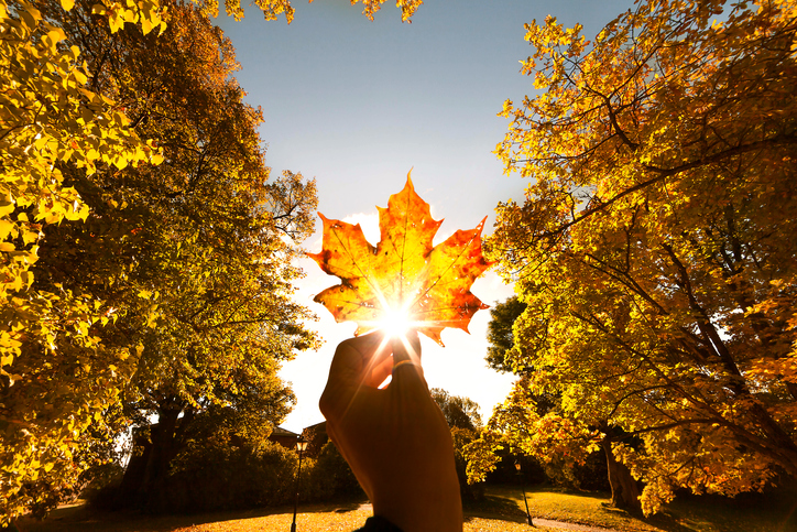 Summer-like temperatures on tap for nation’s capital this weekend