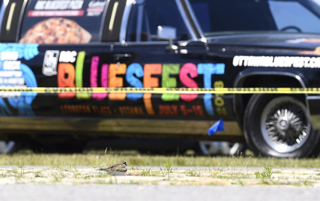 An assault took place on July 9th on Bluesfest grounds. (CityNews/files)