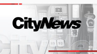 CityNews gas prices