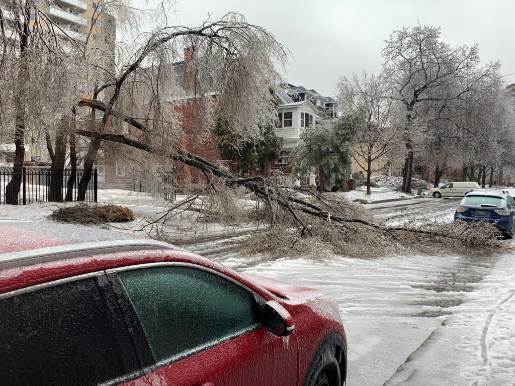 Ice Storm downtown