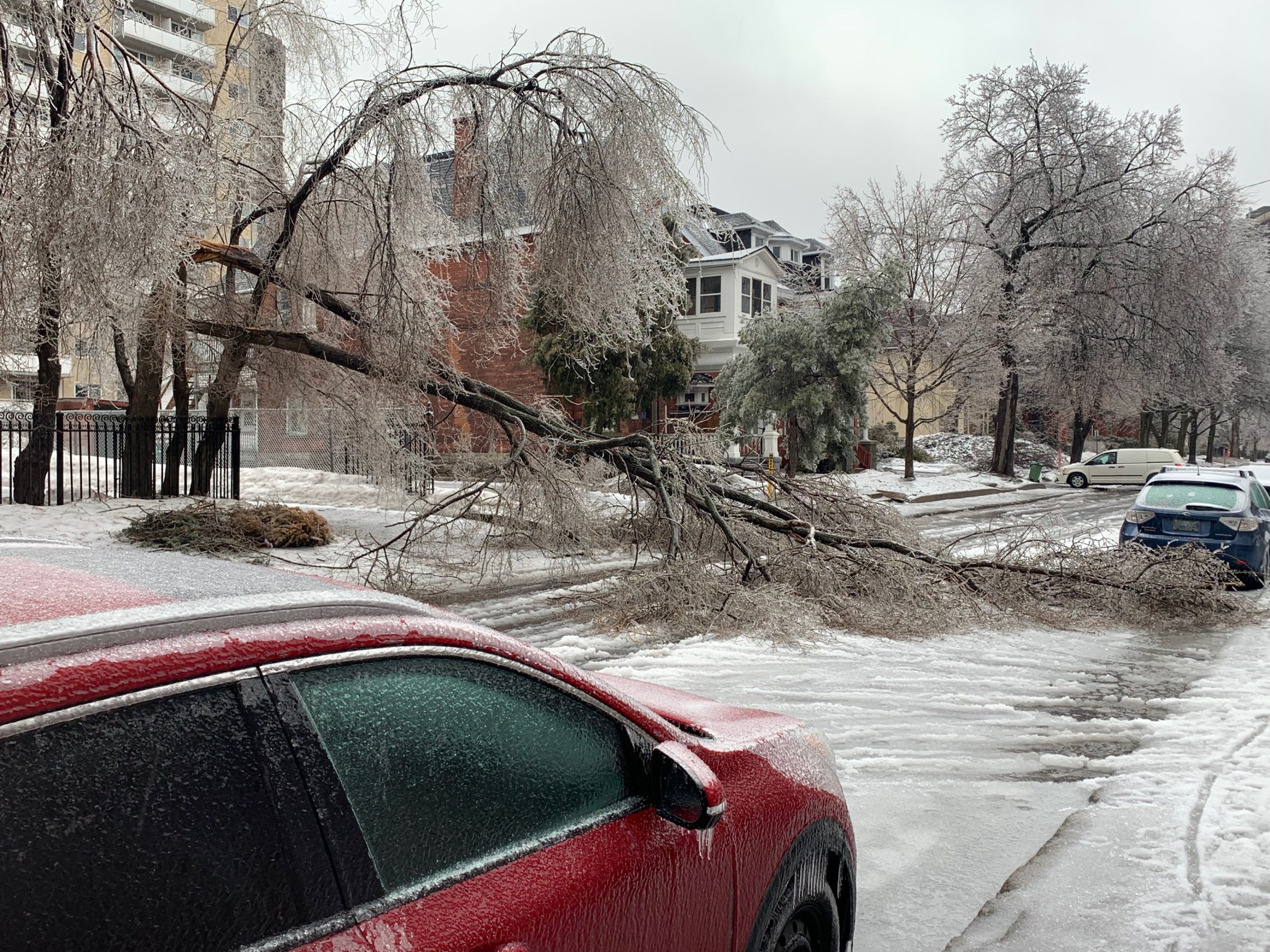 ottawa-s-post-ice-storm-cleanup-continues-citynews-ottawa