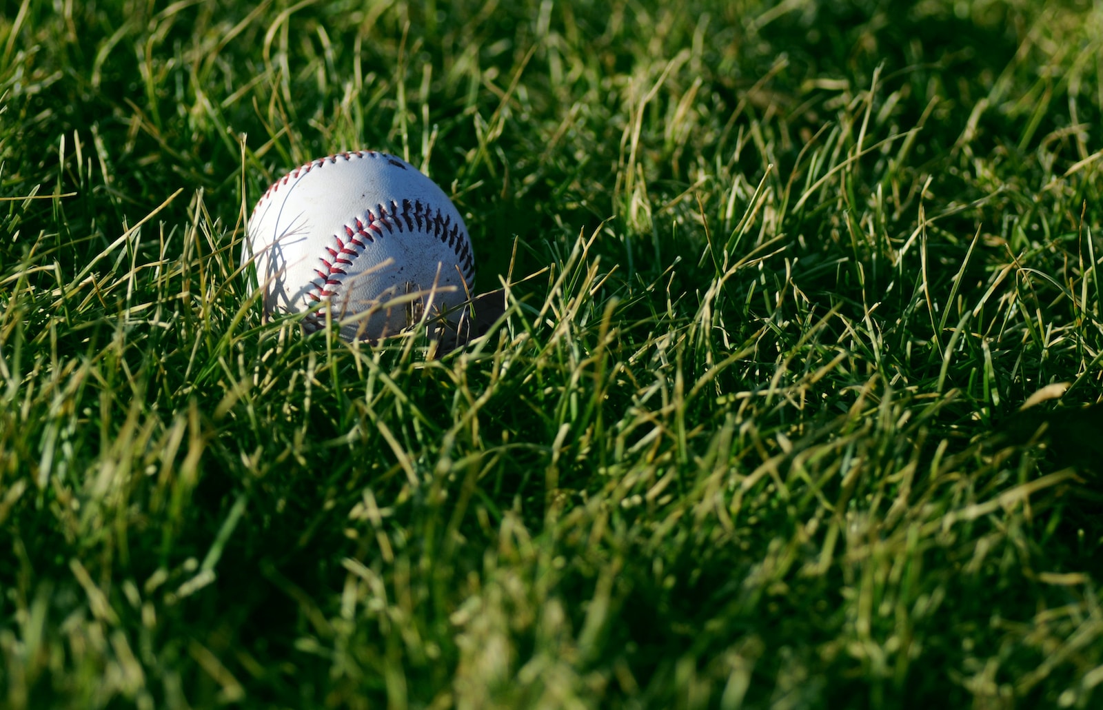 Ottawa delays opening of ball diamonds and sports fields due to conditions