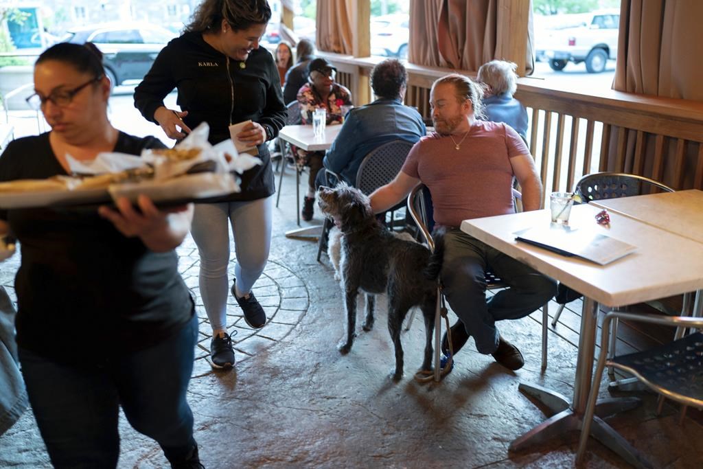 Lunch places that allow sales dogs