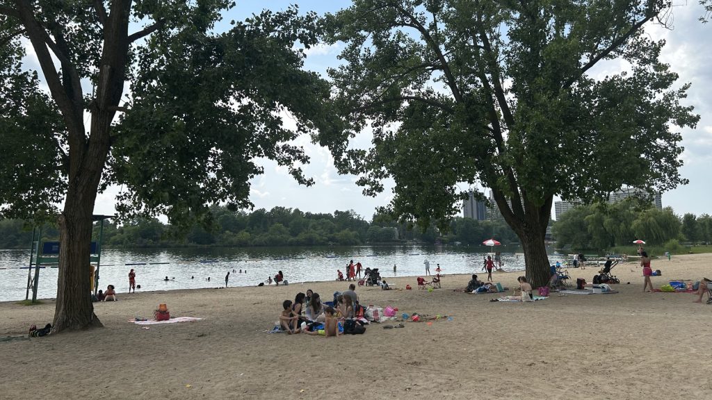 Swimming 'not recommended' at 2 of 4 supervised Ottawa beaches