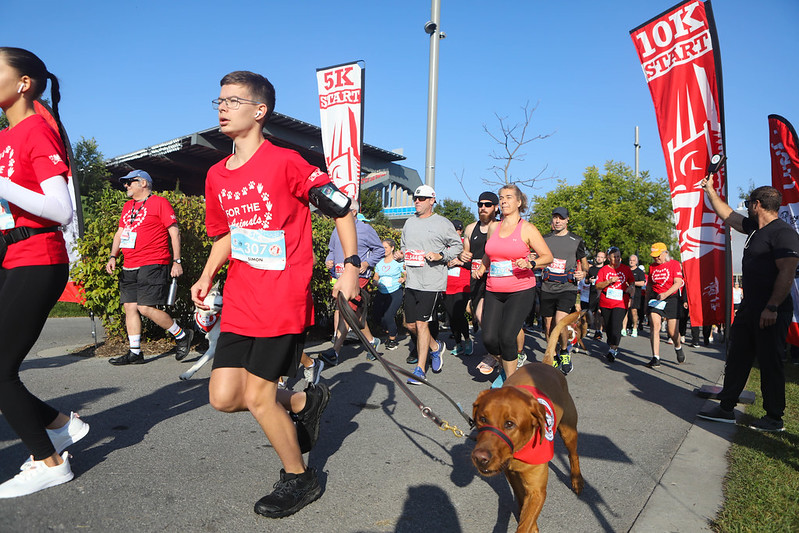 OHS Wiggle Waggle Walk & Run fundraiser raises over $190K