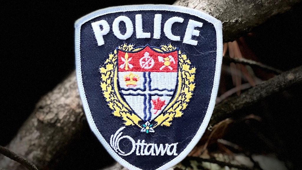 Ottawa police launch investigation after 'hateful posters' seen in South Keys