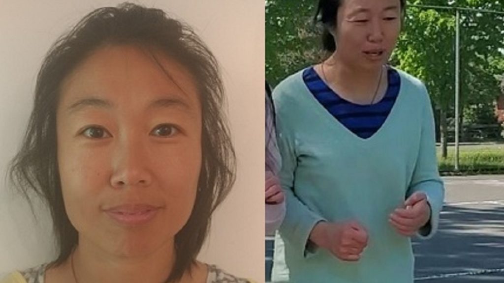 Missing woman does not have her medication, may be in medical distress: Ottawa police