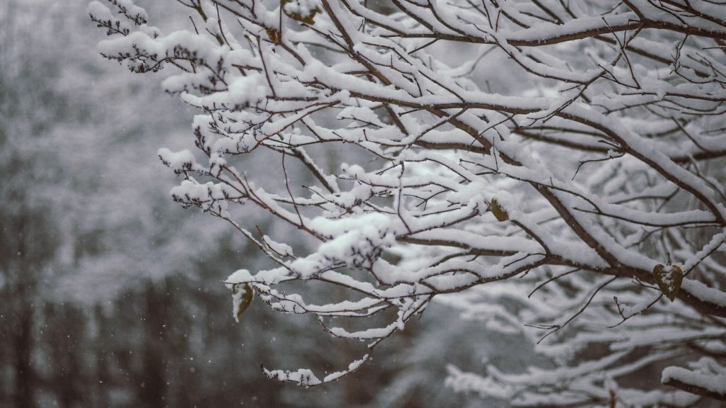 Ottawa under snowfall warning