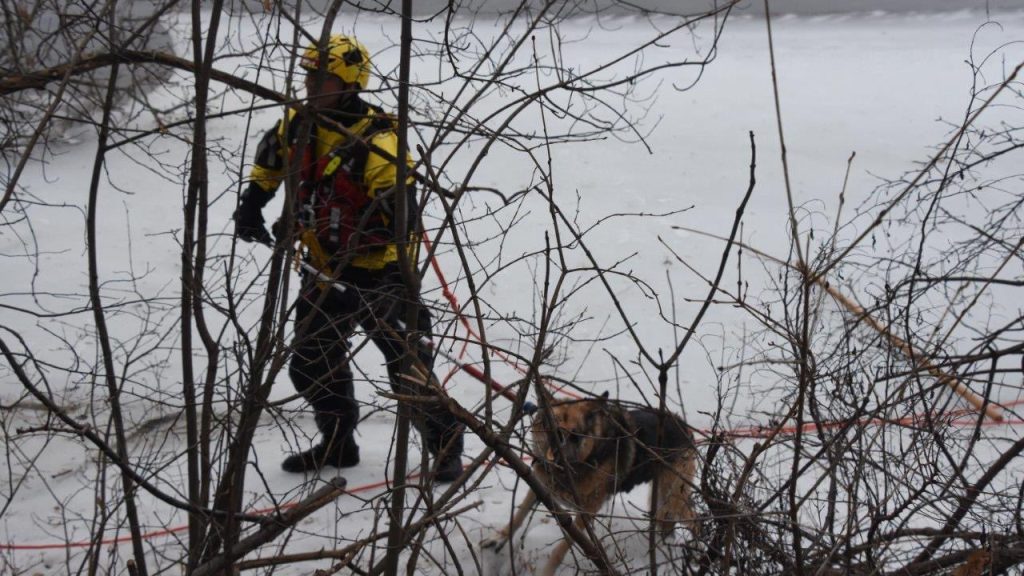 ofs rescues dog