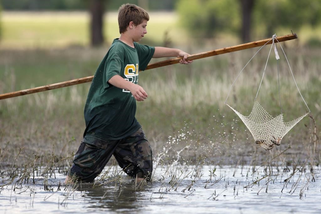 drought and saltwater threaten early crawfish season