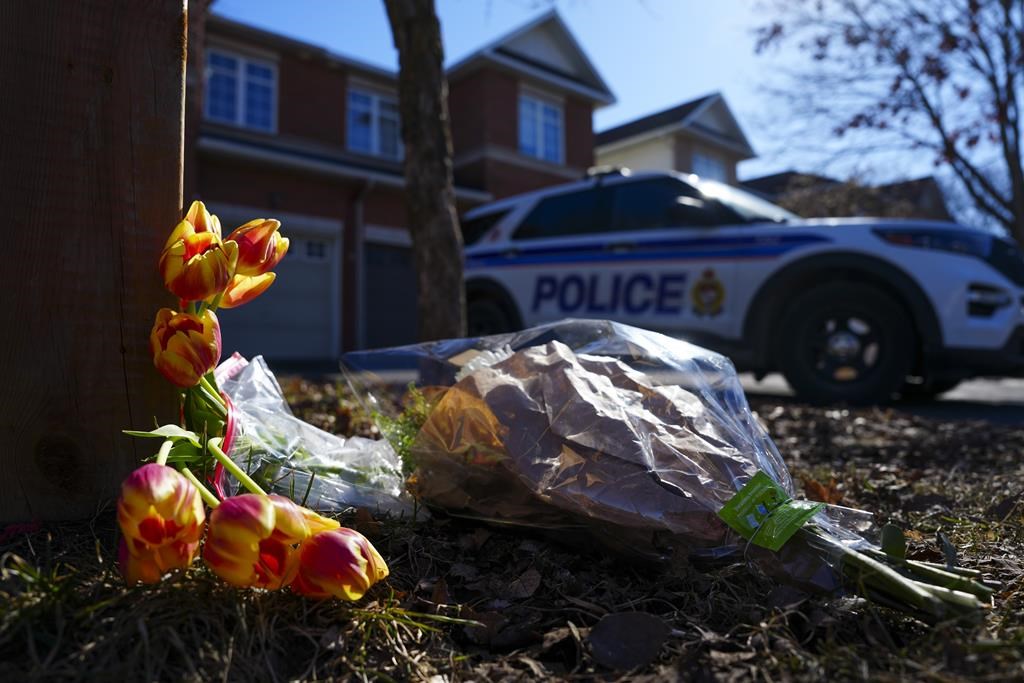 Ottawa mass killing suspect not seeking bail, as emails show college search for intel