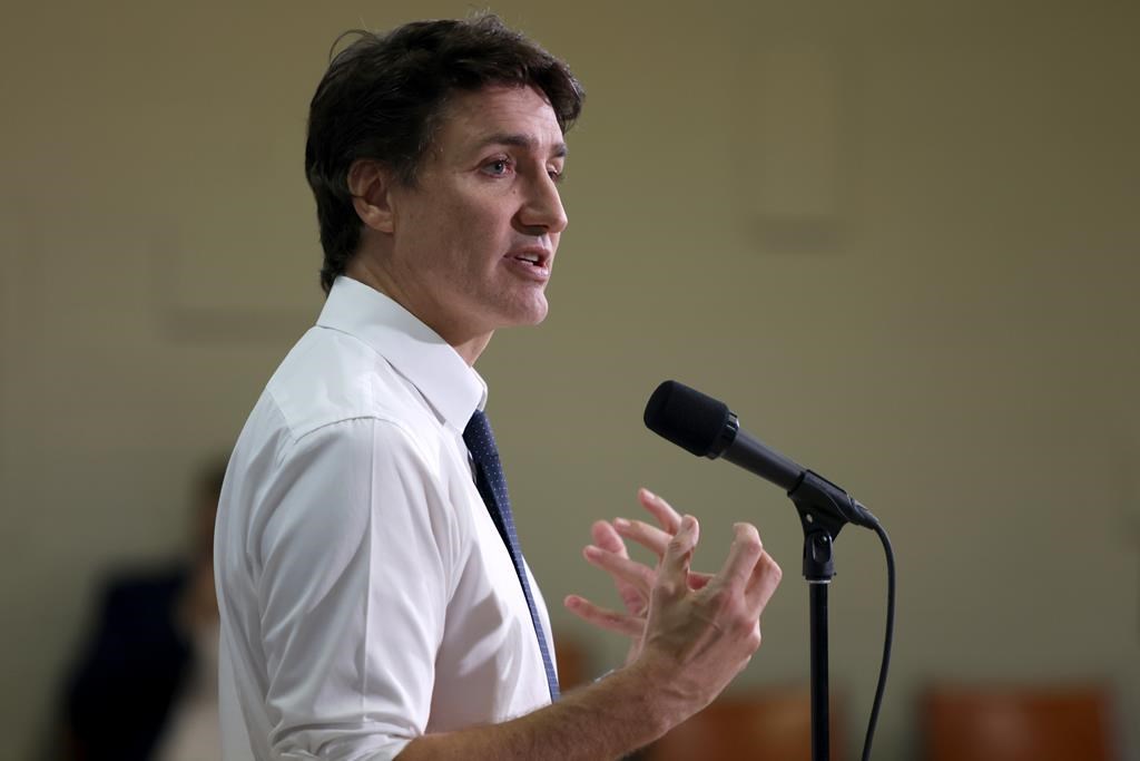 Trudeau reveals Liberal plan to build nearly 3.9M homes by 2031 amid housing crisis