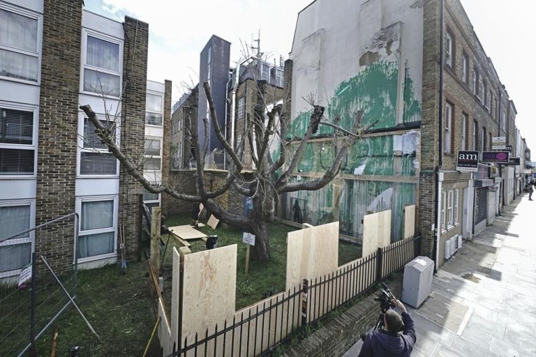 Banksy tree mural that sprouted in London is fenced off after apparent