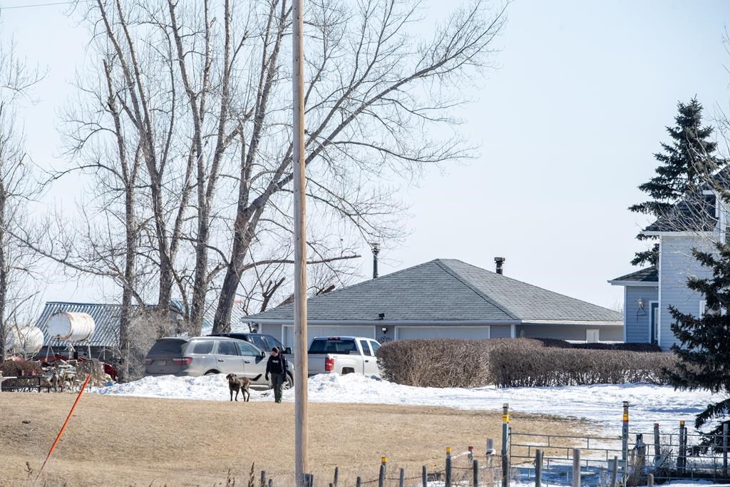 Four Saskatchewan family members died in murder-suicide, RCMP say