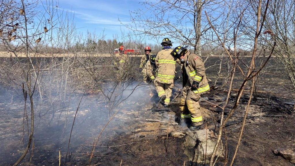 Brush fire -- Ottawa Fire Services