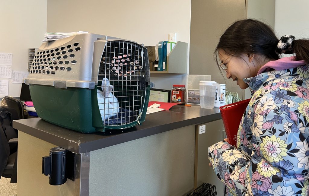 Ottawa Humane Society introduced a Youth Foster Program late March, 2024.