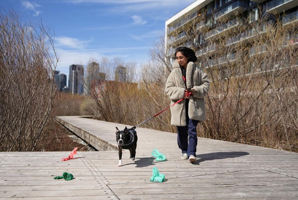 Parks Canada removes trash bins along Lachine Canal to spur citizen responsibility