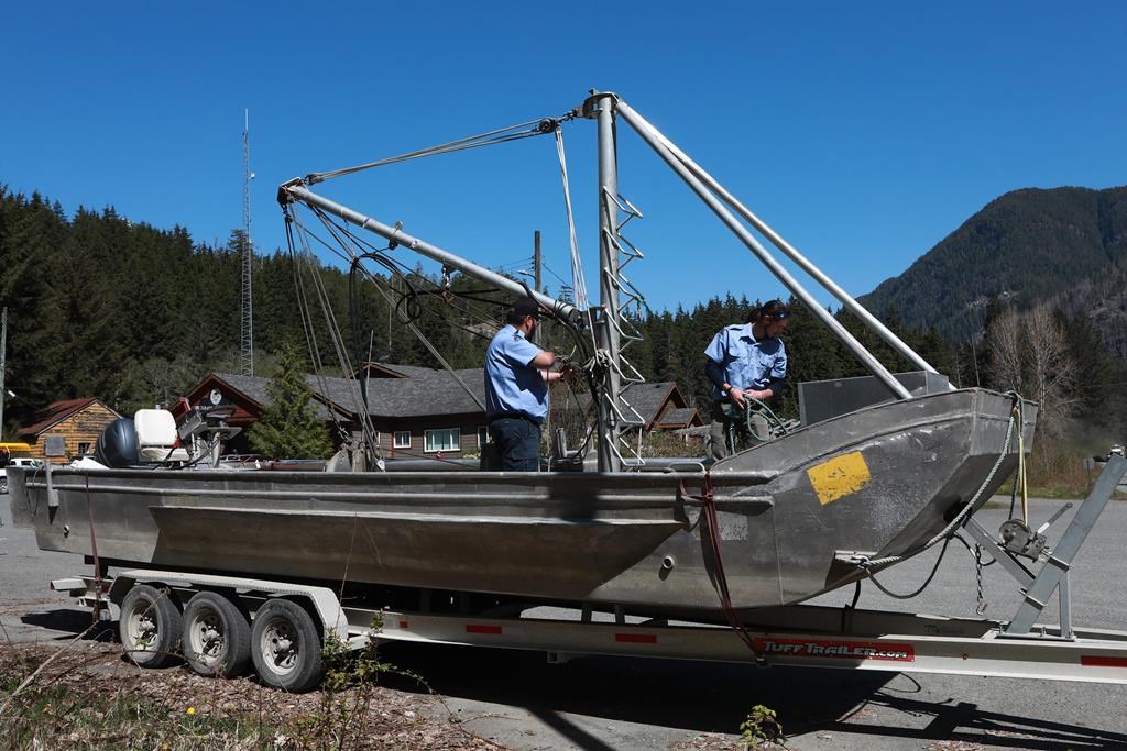 Bigger boats, more nets, people arrive in Zeballos, B.C., for new orca rescue attempt