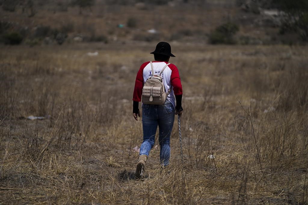 Mexican families searching for missing relatives unite to draw