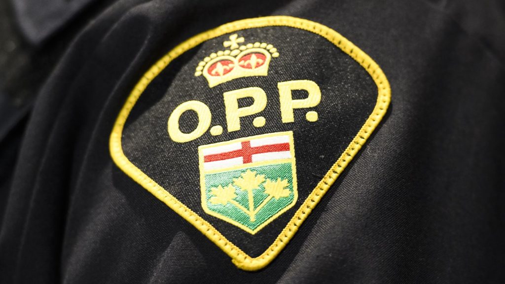 Ottawa driver charged after driving impaired into OPP parking lot