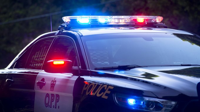 1 dead in wrong-way collision with transport, south of Winchester, Ont.