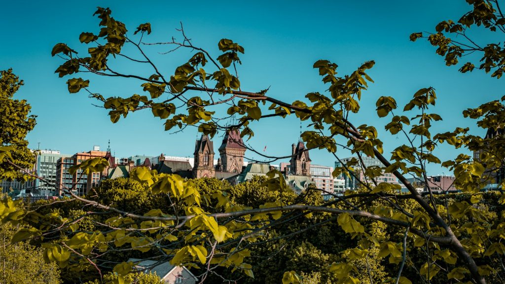 a view of a city through the trees