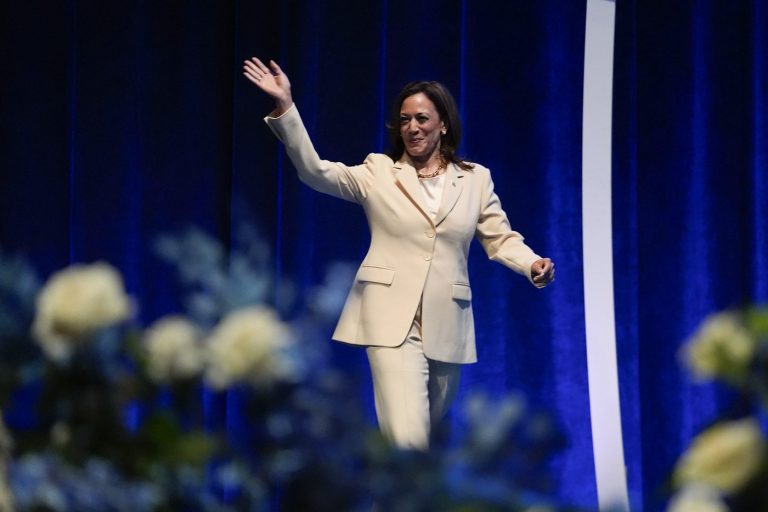 Democrats poised to virtually nominate Harris and her running mate