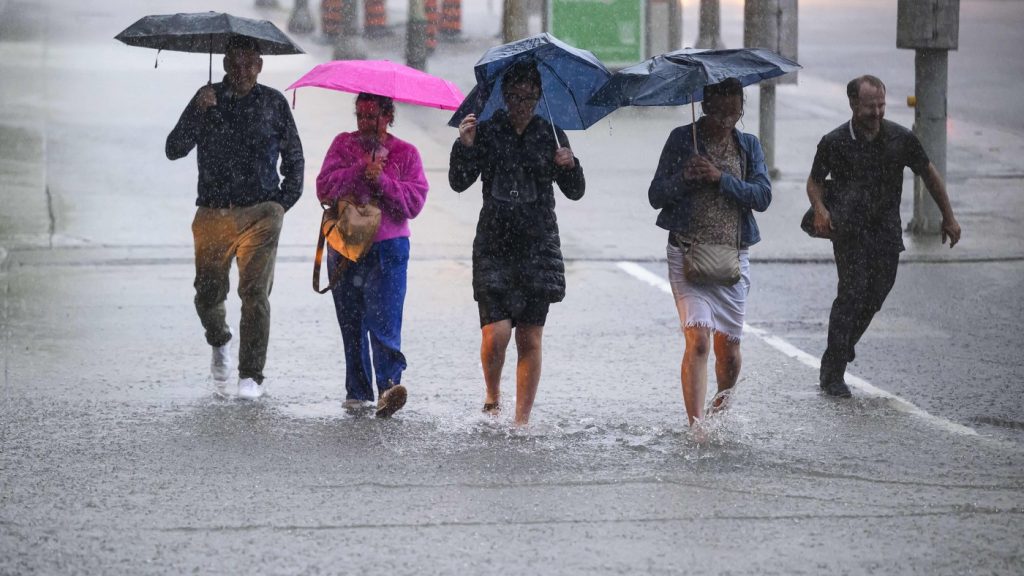 People hold umbrellas