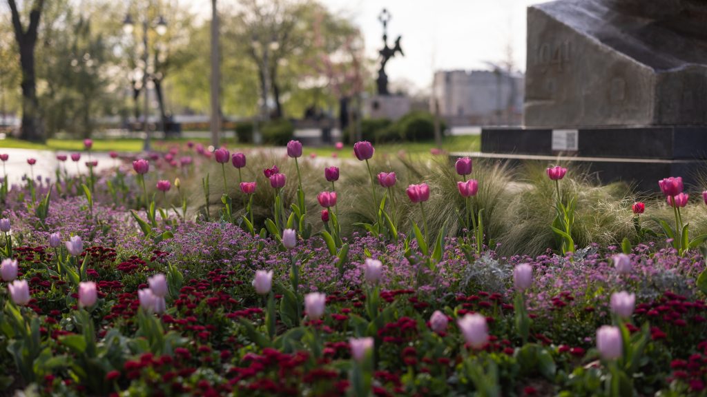 Sunny spring day in city park