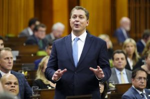 Conservatives choose Andrew Scheer as interim Opposition leader