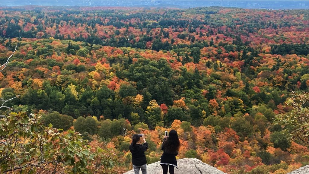 Visitors pause to take photos of the changing colours as they hike in the Gatineau park near Chelsea, Que. Sunday, October 4, 2020. THE CANADIAN PRESS/Adrian Wyld