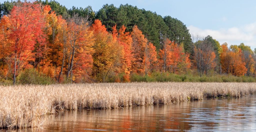 Unexploded bombs from Second World War still buried in Mer Bleue bog: National Defence