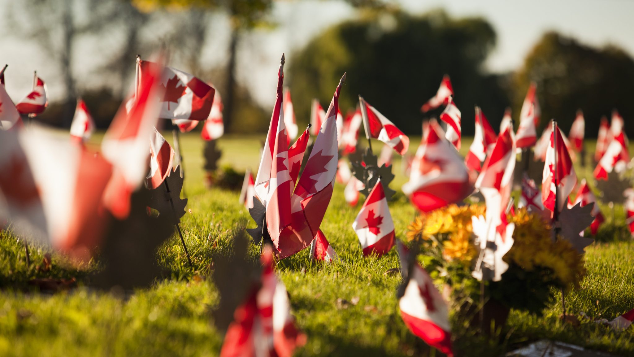 Defence and security services sections holds a special place at