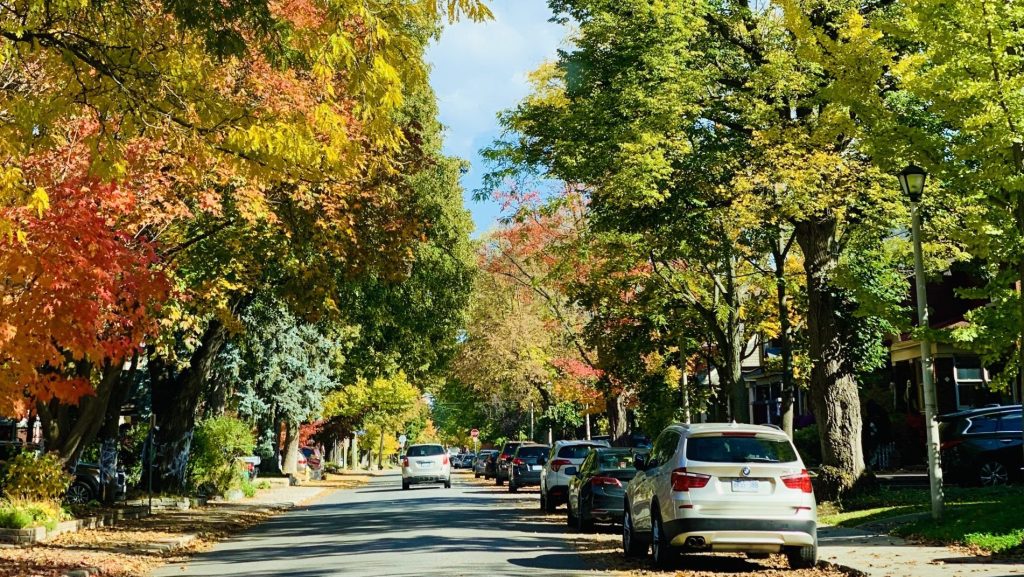 Weather is expected to be 'well above normal' in Ottawa this week