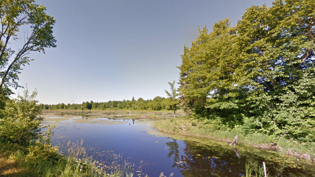 A photo of Mills Lake looking west. (Google Maps)