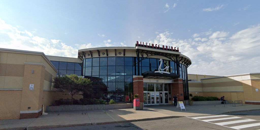 Elderly woman's purse stolen at Billings Bridge Shopping Centre