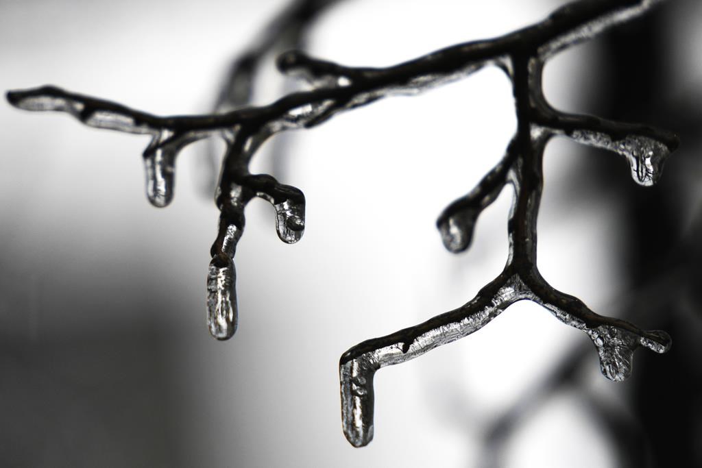 Freezing rain 'likely' in Ottawa