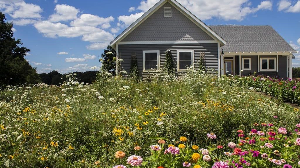 Plant native seeds now for a luscious garden all summer long