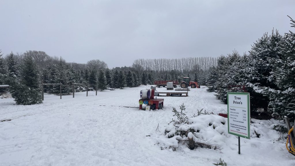 Christmas tree farmers adapting to the changing climate in Ottawa