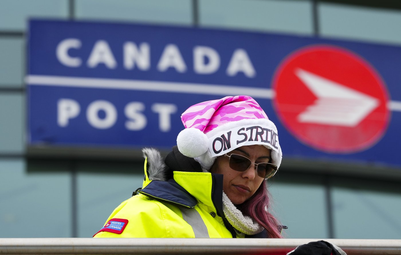 Breaking News Top Local Stories CityNews Ottawa breaking-news-top-local-stories-citynews-ottawa