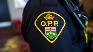74-year-old charged in intimate partner violence case