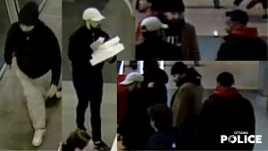 Victim loses $24,000 after thieves steal and use credit card