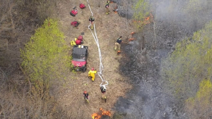Brush fire in Richmond prompts burn reminders from officials