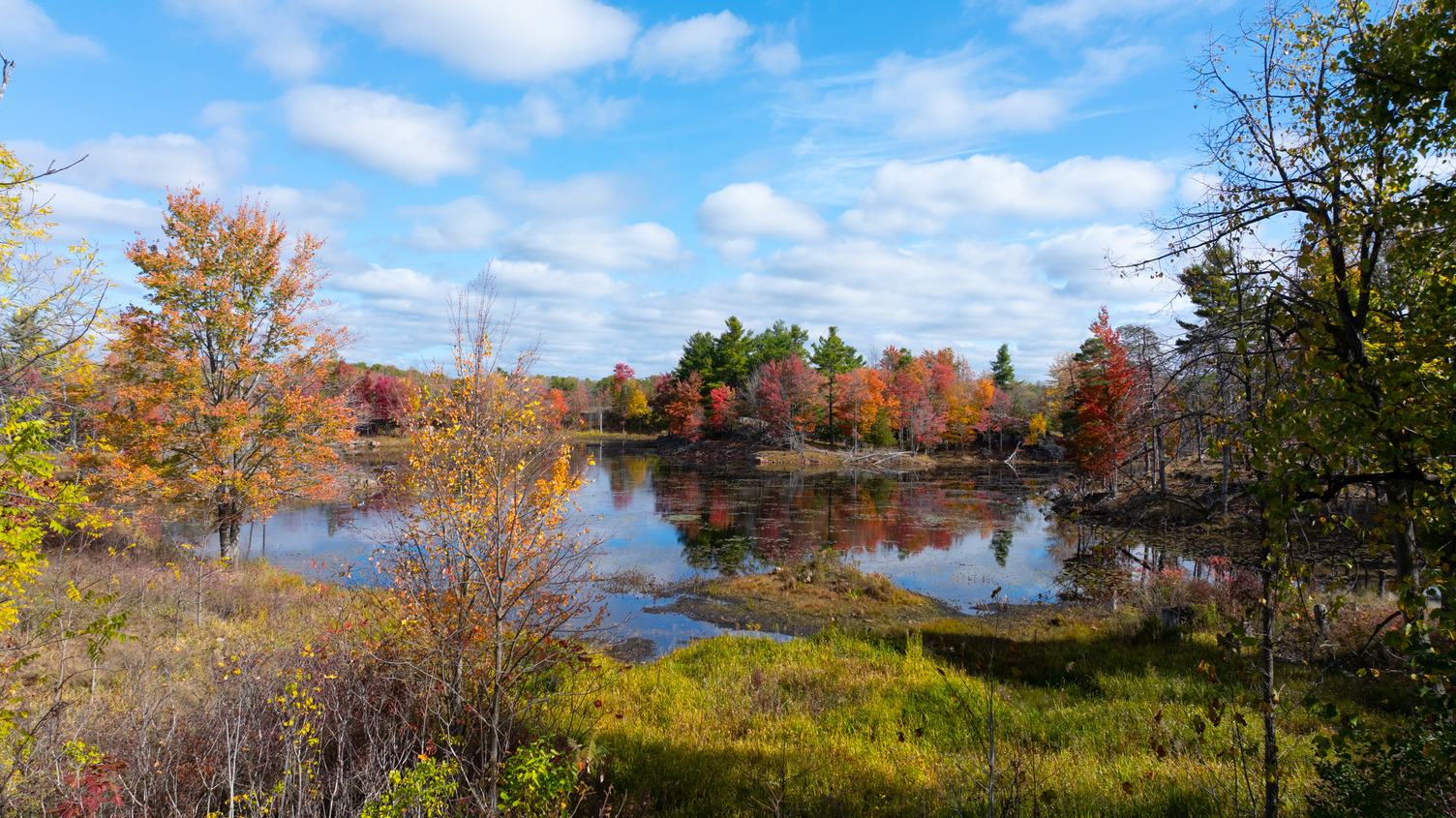 Nature conservancy protecting land between Ottawa, Kingston