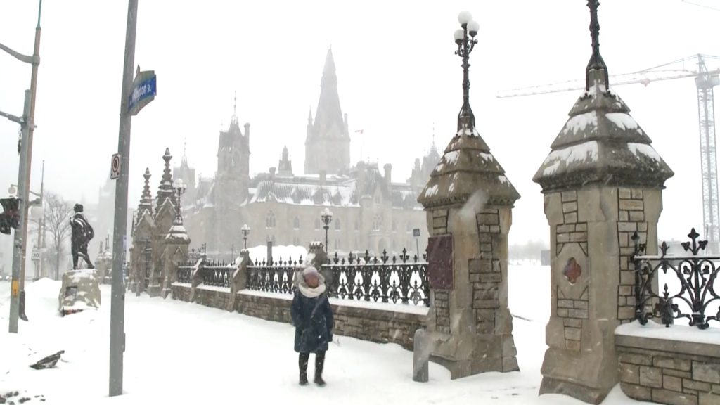 Ottawa January snowfall