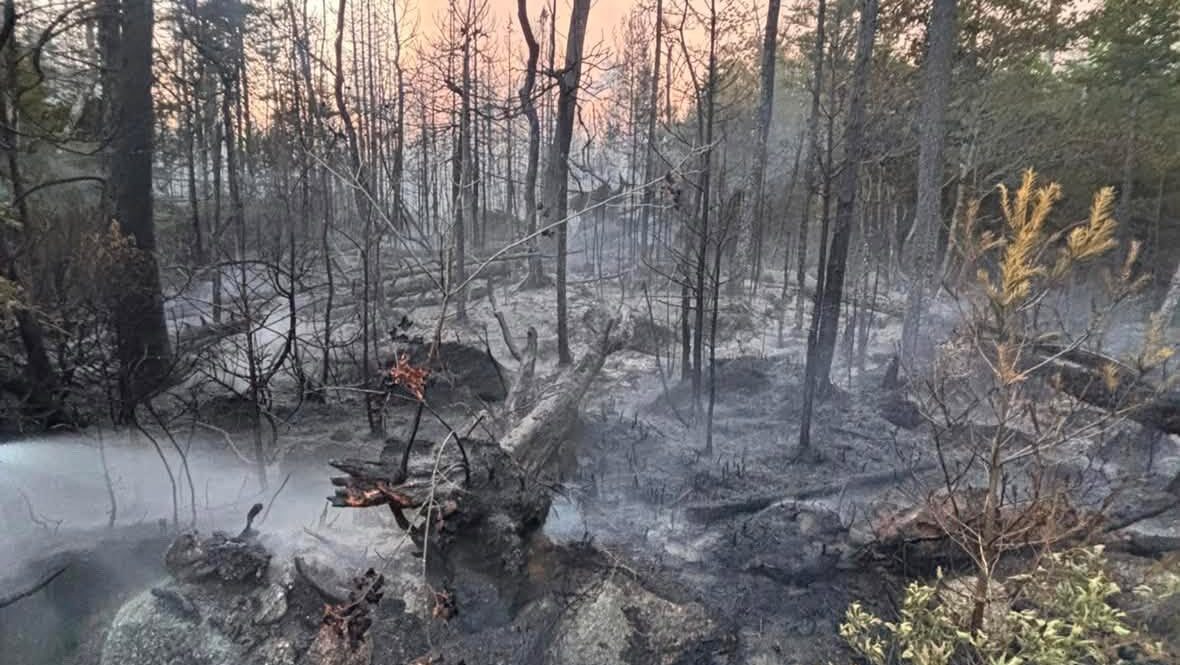 Firefighters battling wildfire east of Halifax