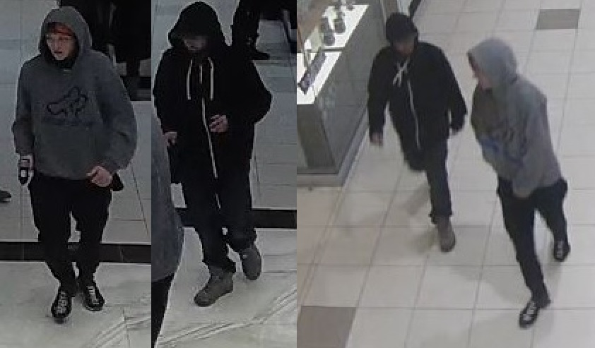 Ottawa Police Looking For Suspects In Bayshore Mall Jewellery Theft