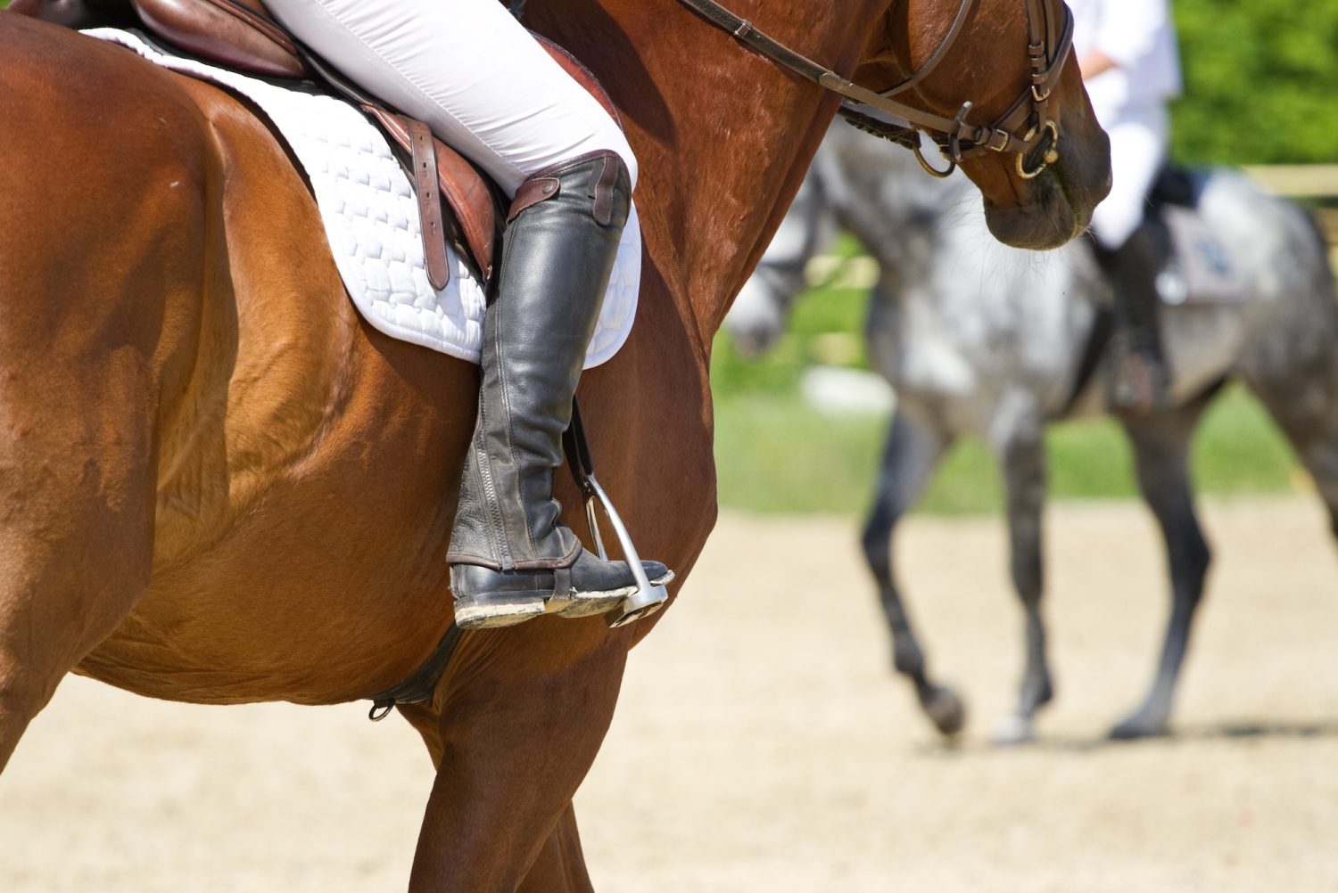 Horseback riding helping combat anxiety and depression